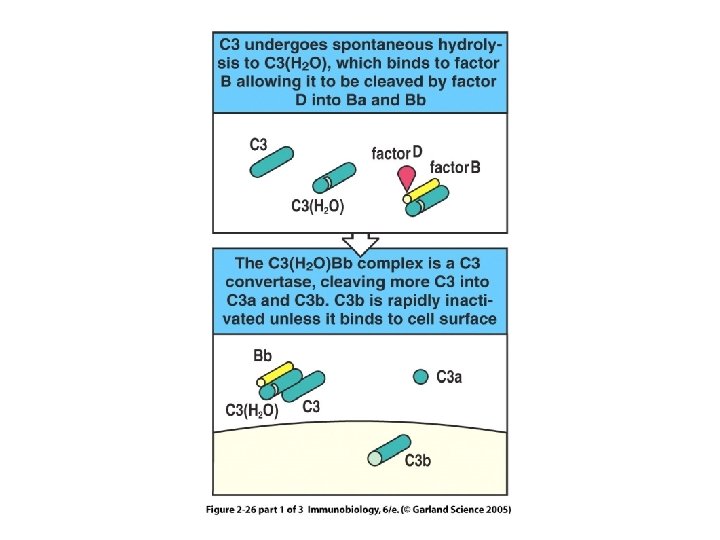 Figure 2 -26 part 1 of 3 