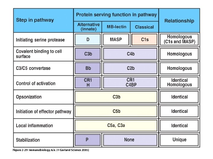 Figure 2 -29 