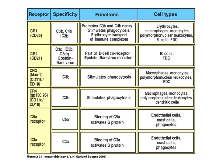 Figure 2 -31 