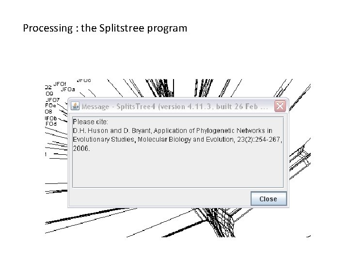 Processing : the Splitstree program 