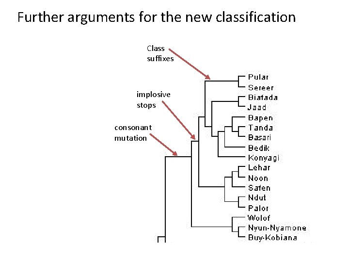 Further arguments for the new classification Class suffixes implosive stops consonant mutation 