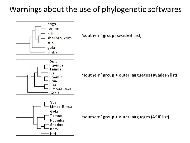 Warnings about the use of phylogenetic softwares ‘southern’ group (swadesh list) ‘southern’ group +
