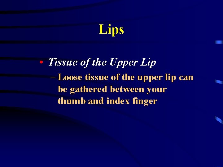 Lips • Tissue of the Upper Lip – Loose tissue of the upper lip