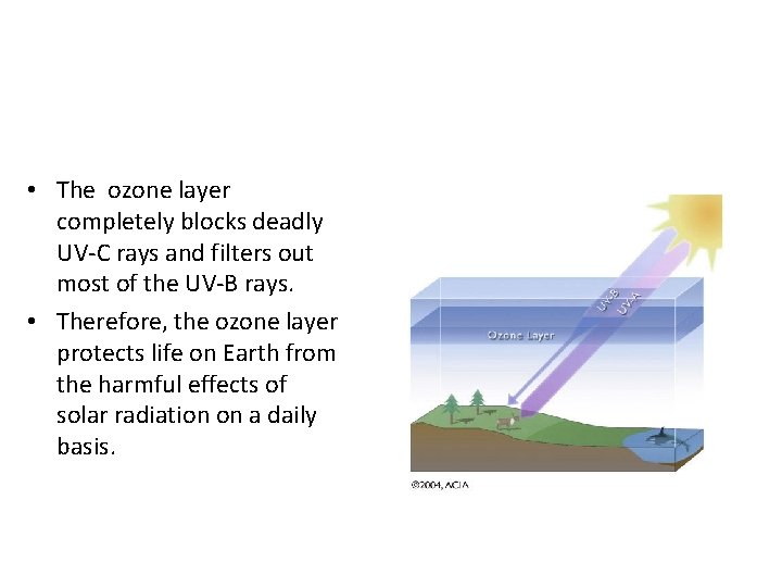 • The ozone layer completely blocks deadly UV-C rays and filters out most • The ozone layer completely blocks deadly UV-C rays and filters out most