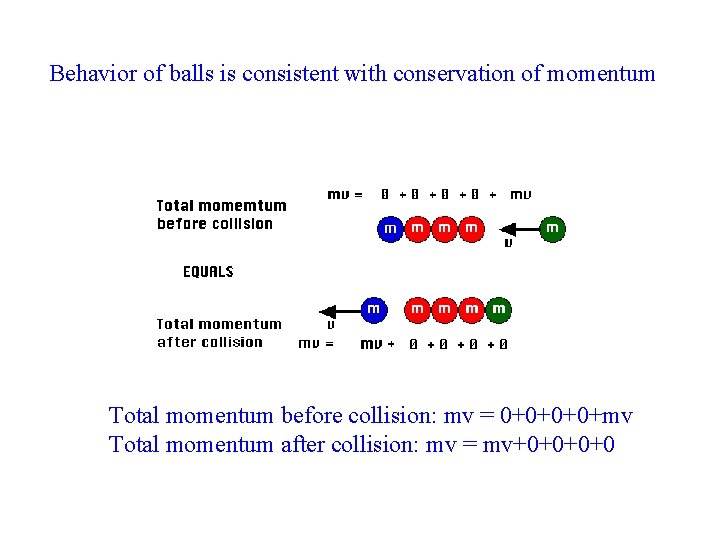 Behavior of balls is consistent with conservation of momentum Total momentum before collision: mv