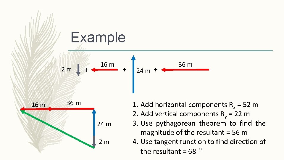 Example 2 m 16 m + 16 m 36 m 24 m 2 m