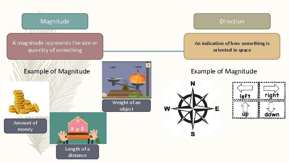 Magnitude Direction A magnitude represents the size or quantity of something An indication of