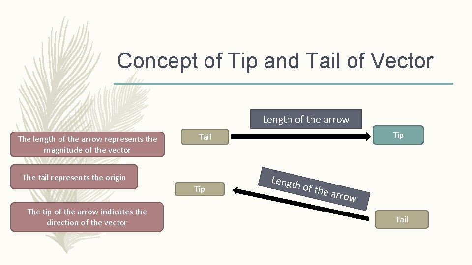 Concept of Tip and Tail of Vector Length of the arrow The length of