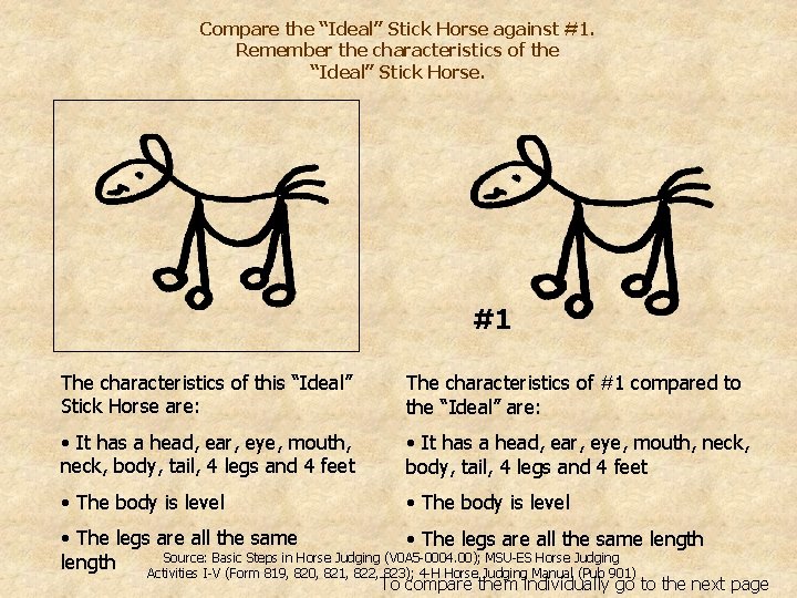 Compare the “Ideal” Stick Horse against #1. Remember the characteristics of the “Ideal” Stick