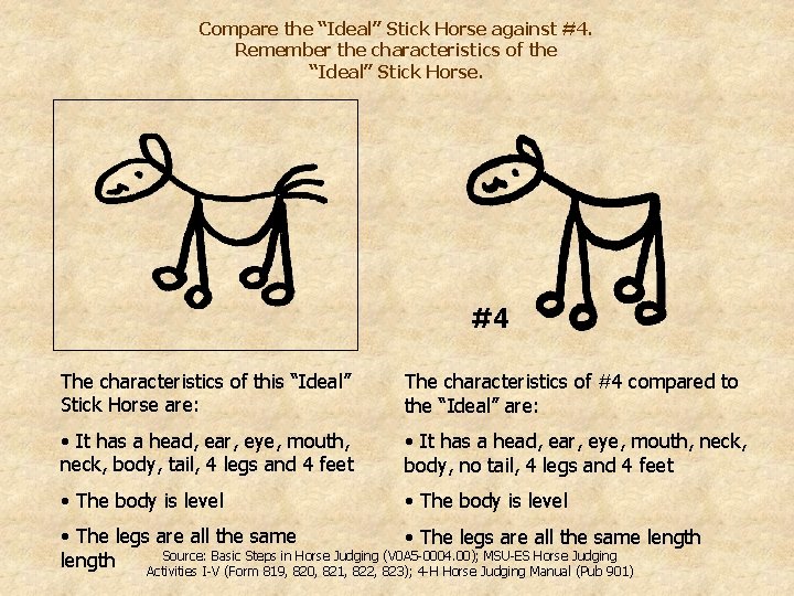 Compare the “Ideal” Stick Horse against #4. Remember the characteristics of the “Ideal” Stick