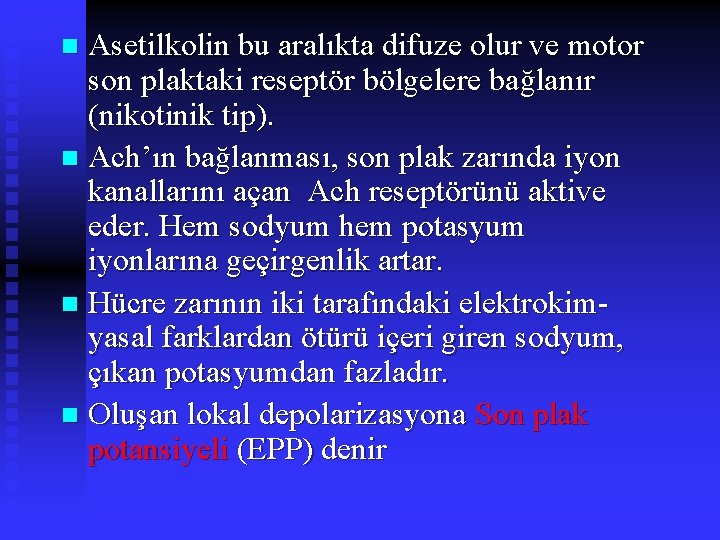 Asetilkolin bu aralıkta difuze olur ve motor son plaktaki reseptör bölgelere bağlanır (nikotinik tip).