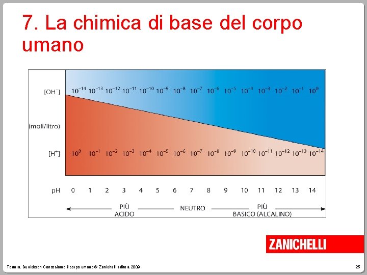 7. La chimica di base del corpo umano Tortora, Derrickson Conosciamo il corpo umano