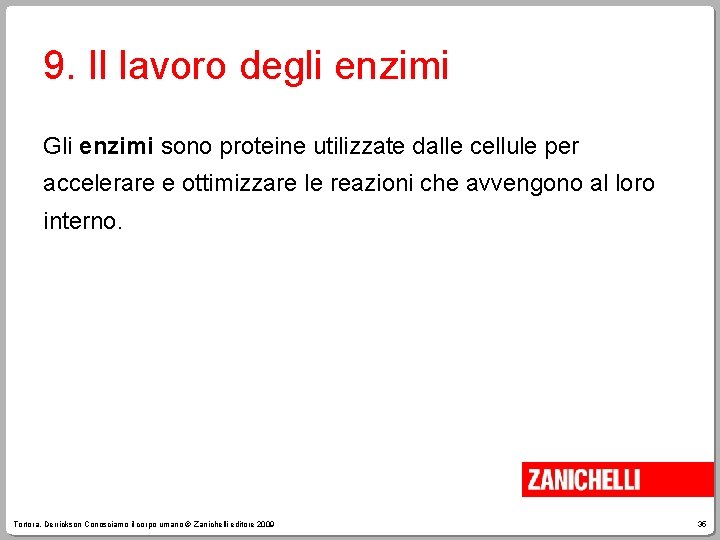 9. Il lavoro degli enzimi Gli enzimi sono proteine utilizzate dalle cellule per accelerare