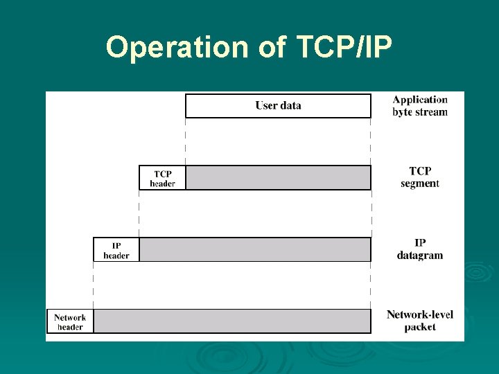 Operation of TCP/IP 