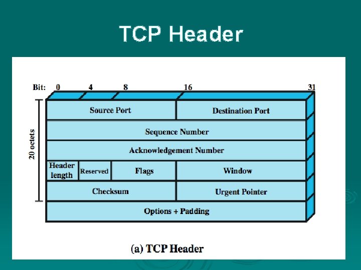 TCP Header 