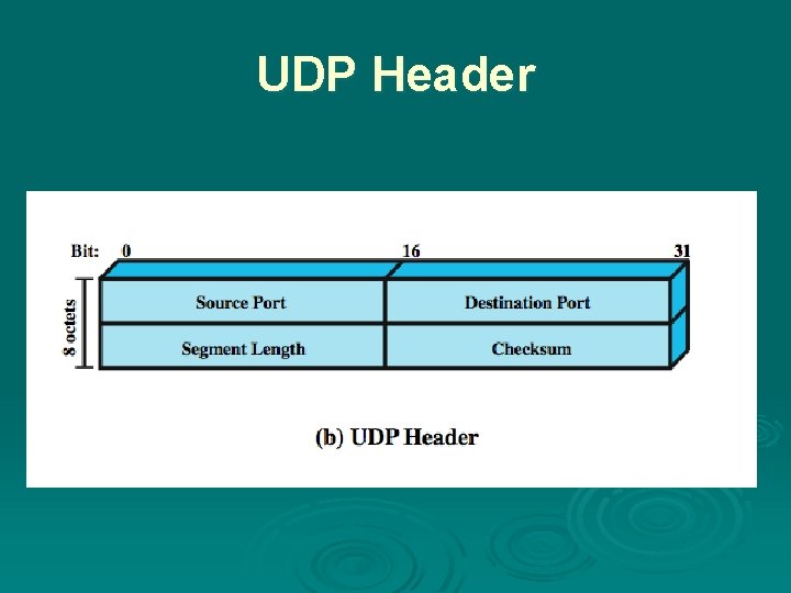 UDP Header 