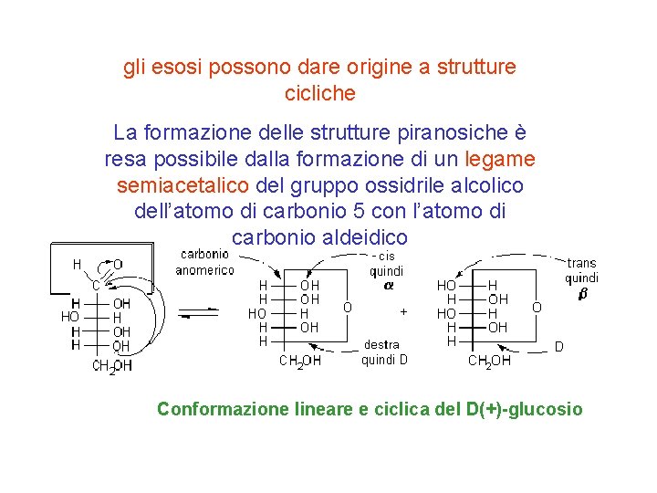 gli esosi possono dare origine a strutture cicliche La formazione delle strutture piranosiche è