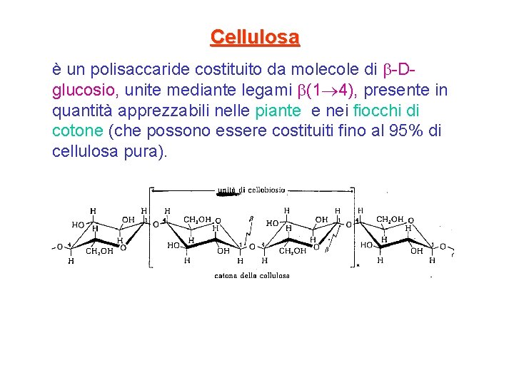 Cellulosa è un polisaccaride costituito da molecole di -Dglucosio, unite mediante legami (1 4),