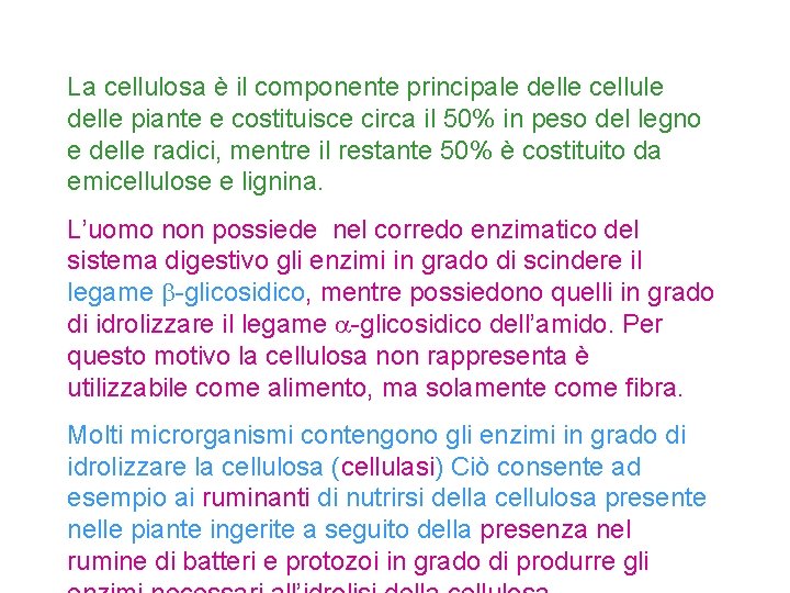 La cellulosa è il componente principale delle cellule delle piante e costituisce circa il