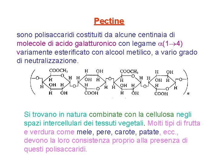 Pectine sono polisaccaridi costituiti da alcune centinaia di molecole di acido galatturonico con legame