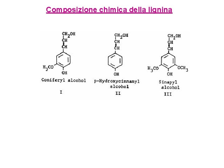 Composizione chimica della lignina 