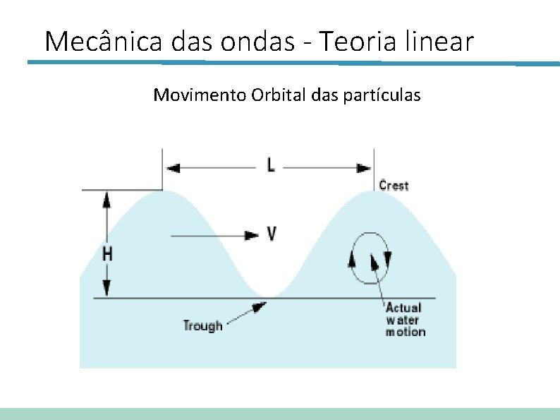 Mecânica das ondas - Teoria linear Movimento Orbital das partículas 