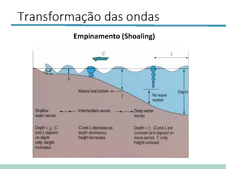 Transformação das ondas Empinamento (Shoaling) 