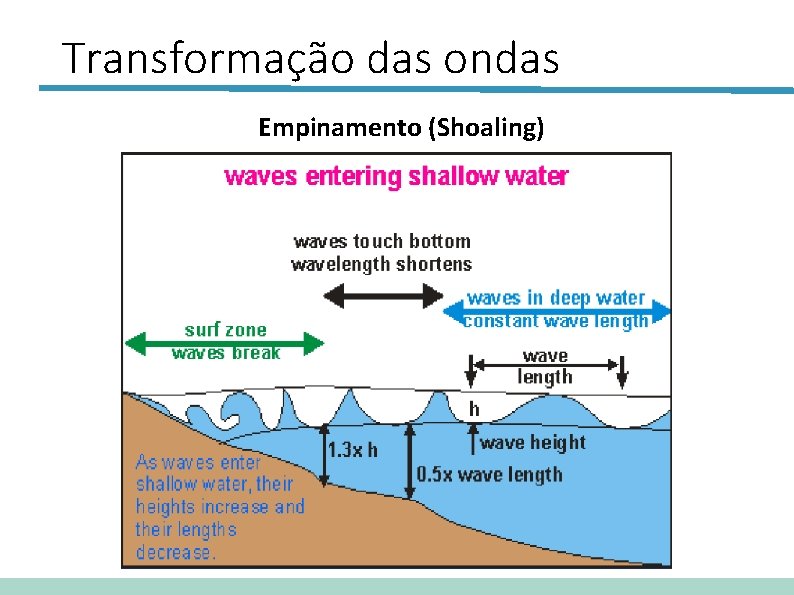 Transformação das ondas Empinamento (Shoaling) 
