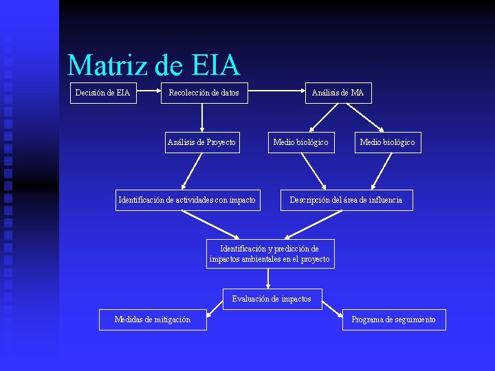 Matriz de EIA Decisión de EIA Recolección de datos Análisis de Proyecto Identificación de