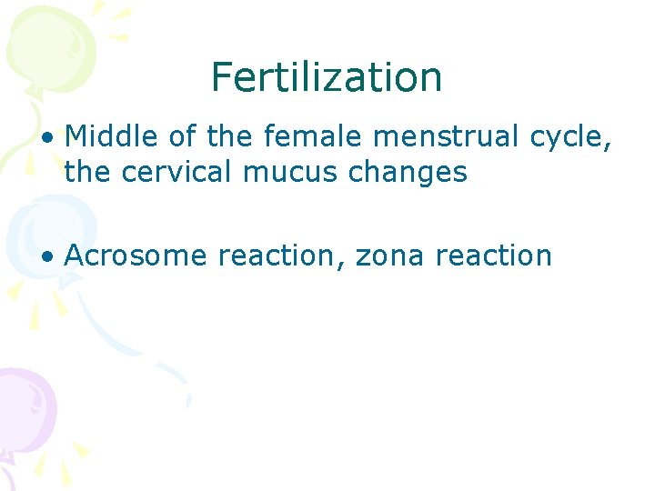 Fertilization • Middle of the female menstrual cycle, the cervical mucus changes • Acrosome