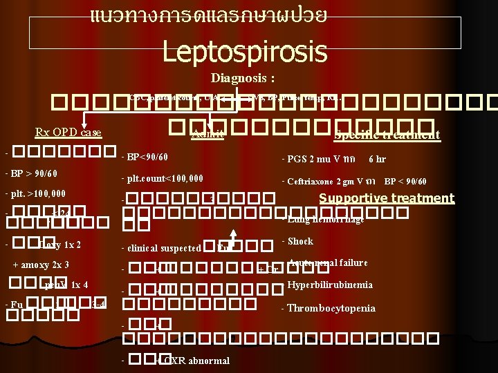 แนวทางการดแลรกษาผปวย Leptospirosis Diagnosis : CBC, platelet count , U/A VS, BP, Pulse, temp, RR.