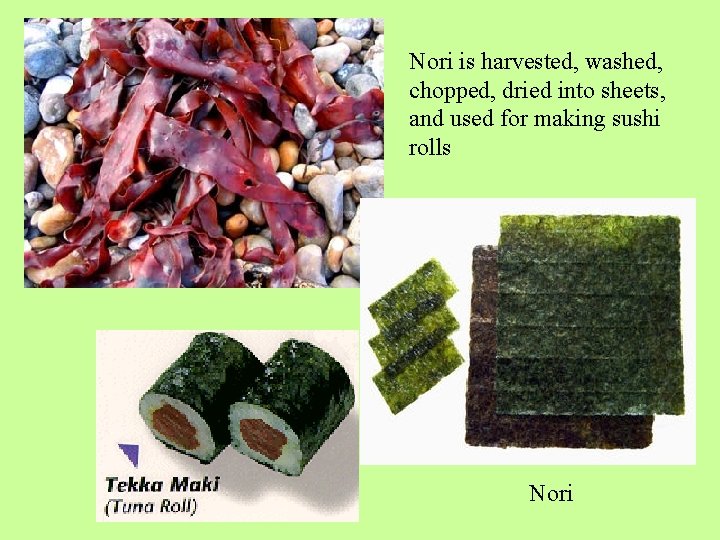 Nori is harvested, washed, chopped, dried into sheets, and used for making sushi rolls
