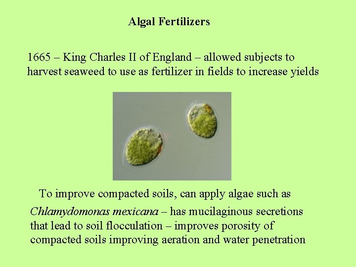 Algal Fertilizers 1665 – King Charles II of England – allowed subjects to harvest