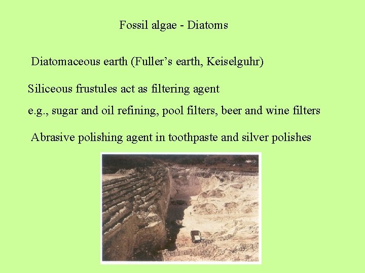 Fossil algae - Diatoms Diatomaceous earth (Fuller’s earth, Keiselguhr) Siliceous frustules act as filtering