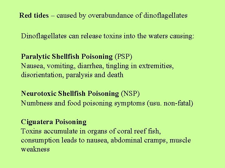 Red tides – caused by overabundance of dinoflagellates Dinoflagellates can release toxins into the