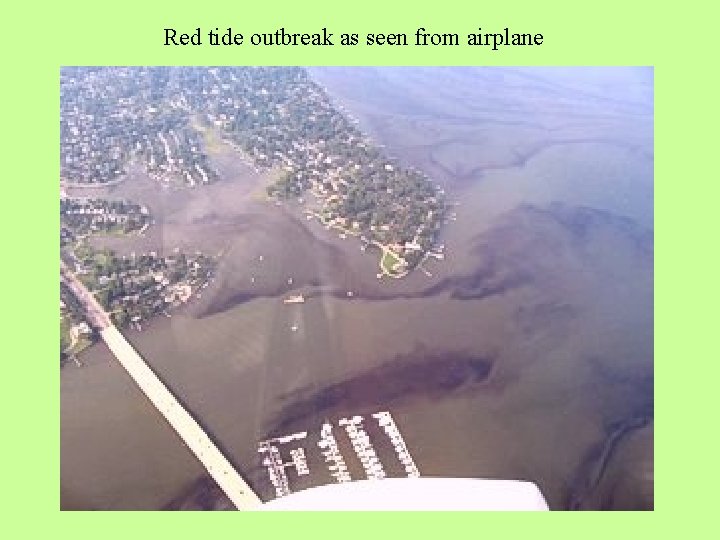 Red tide outbreak as seen from airplane 