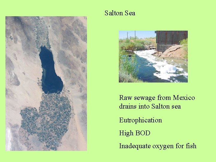 Salton Sea Raw sewage from Mexico drains into Salton sea Eutrophication High BOD Inadequate