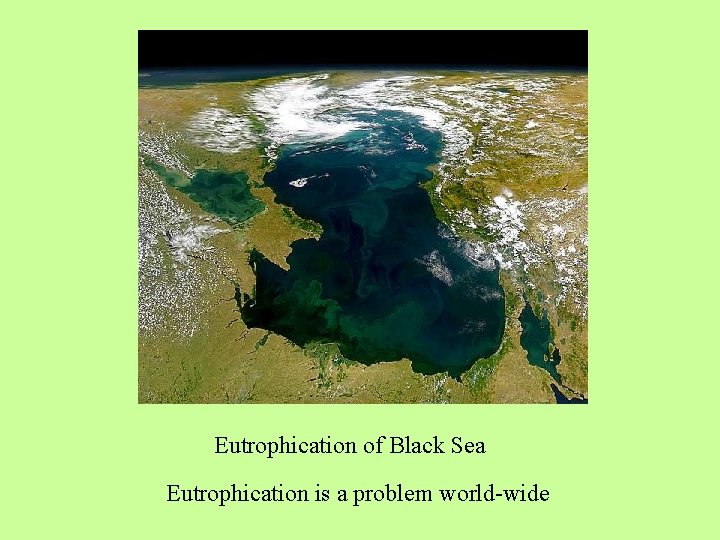 Eutrophication of Black Sea Eutrophication is a problem world-wide 