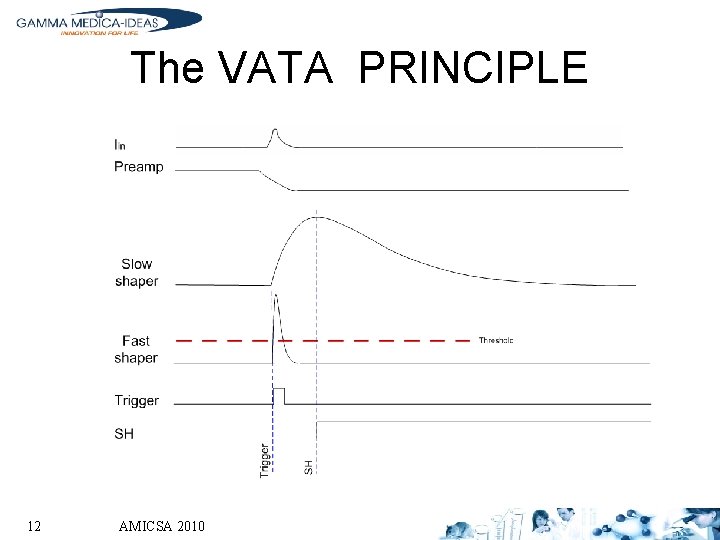 The VATA PRINCIPLE 12 AMICSA 2010 