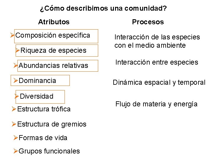 ¿Cómo describimos una comunidad? Atributos Composición específica Riqueza de especies Abundancias relativas Dominancia Diversidad