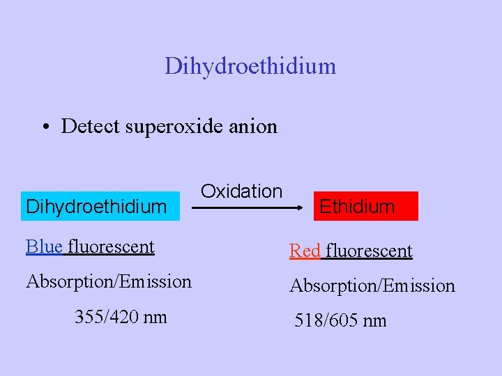Dihydroethidium • Detect superoxide anion Dihydroethidium Oxidation Ethidium Blue fluorescent Red fluorescent Absorption/Emission 355/420 Dihydroethidium • Detect superoxide anion Dihydroethidium Oxidation Ethidium Blue fluorescent Red fluorescent Absorption/Emission 355/420