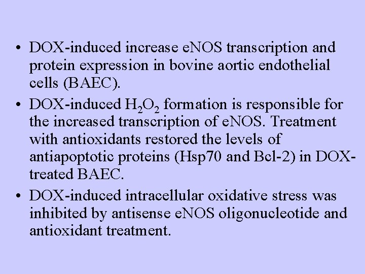  • DOX-induced increase e. NOS transcription and protein expression in bovine aortic endothelial