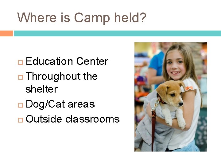 Where is Camp held? Education Center Throughout the shelter Dog/Cat areas Outside classrooms 