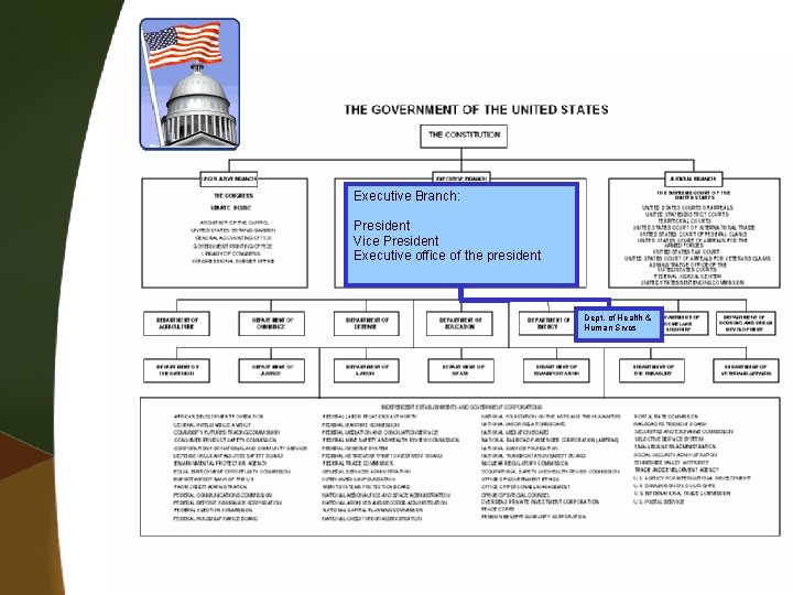 Executive Branch: President Vice President Executive office of the president Dept. of Health &