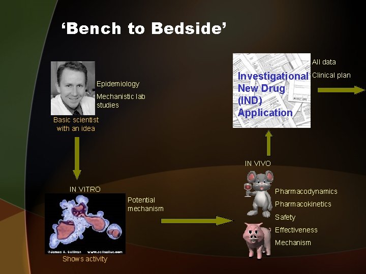 ‘Bench to Bedside’ All data Epidemiology Mechanistic lab studies Basic scientist with an idea