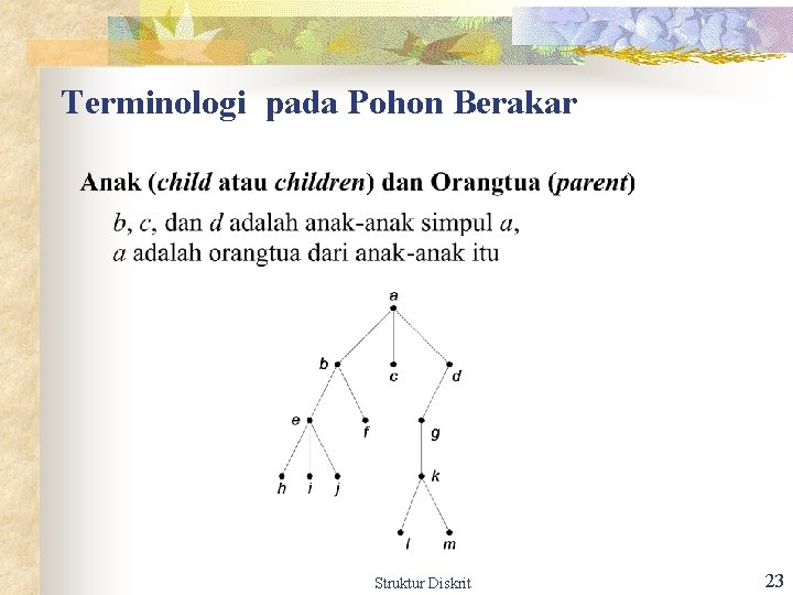 Terminologi pada Pohon Berakar Struktur Diskrit 23 