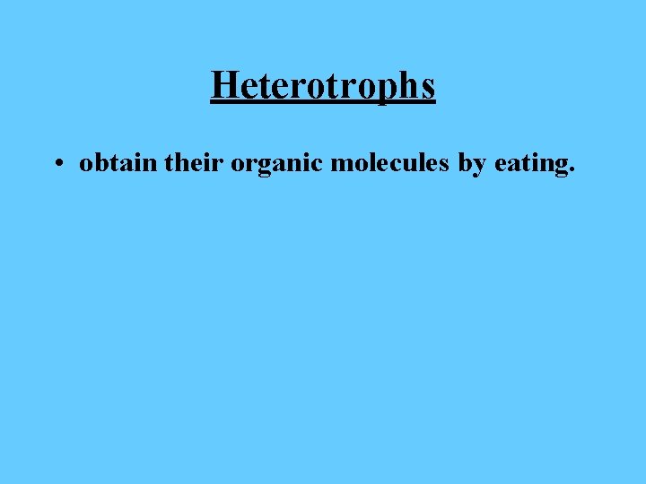 Heterotrophs • obtain their organic molecules by eating. 