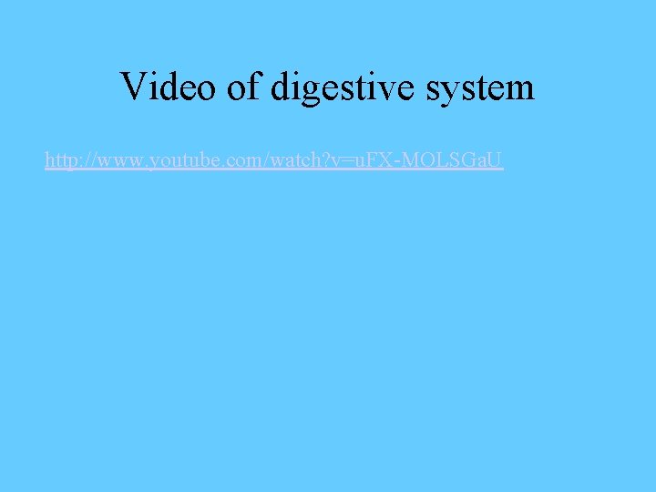 Video of digestive system http: //www. youtube. com/watch? v=u. FX-MOLSGa. U 
