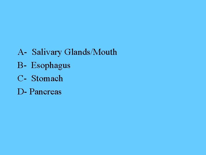 A- Salivary Glands/Mouth B- Esophagus C- Stomach D- Pancreas 