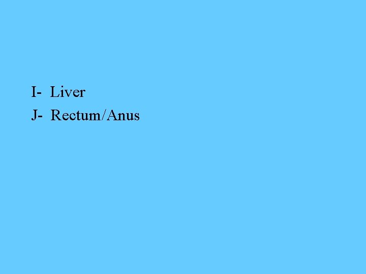 I- Liver J- Rectum/Anus 